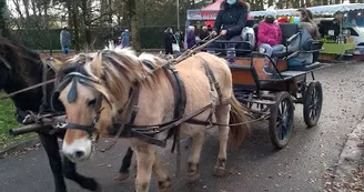 Marché de Noël de Soyaux