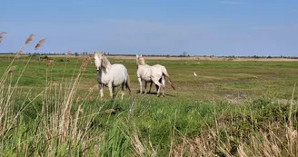 L'Echoppe près du Port