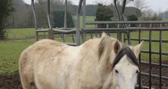 Ferme équestre du Domaine des Limousines