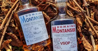 Domaine Montansier