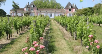 Croisières Loudenne II - Visite du château et dégustation