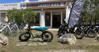 Liberty Bike IO