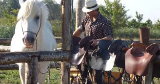 Promenades à cheval dans le marais de Brouage