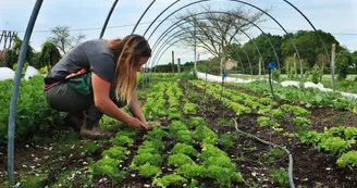 Le jardin du Kikiwi