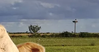 Camping insolite à la Ferme La Gravelle