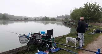 Parcours de pêche Heurtebise - Vallée de la Seugne