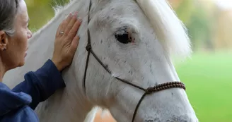 Centre équestre Les Poneys d'Aria