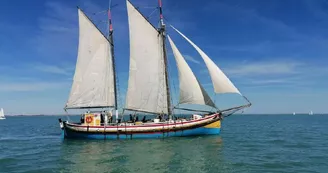 Sortie en mer demi journée sur le vieux gréement Albarquel