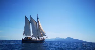 Sortie en mer demi journée sur le vieux gréement Albarquel