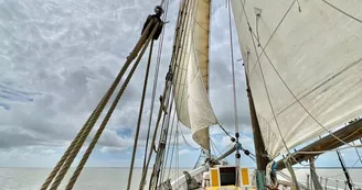 Sortie en mer demi journée sur le vieux gréement Albarquel