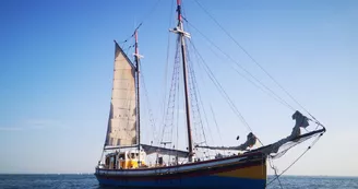 Sortie en mer demi journée sur le vieux gréement Albarquel