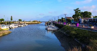 En Quête d'Estuaires - Meschers-sur-Gironde