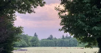 Eco-Glamping "Au Pré Fleuri"