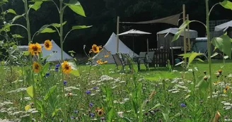 Eco-Glamping "Au Pré Fleuri"