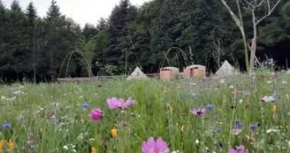 Eco-Glamping "Au Pré Fleuri"