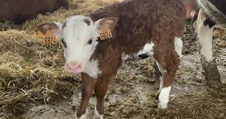 Ferme pédagogique - La Ferme du Grand Chemin