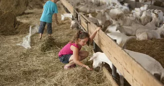 La ferme des fillaos