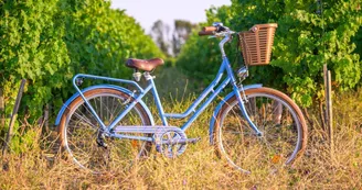 Beach Bikes - Saint-Martin - Quai Clémenceau