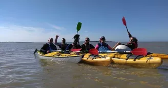 Randonnée en kayak vers l'ile de Ré au coeur du parc Marin  -Antioche Kayak