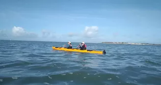 Randonnée en kayak vers l'ile de Ré au coeur du parc Marin  -Antioche Kayak