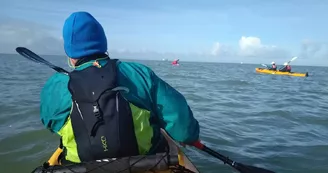 Randonnée en kayak vers l'ile de Ré au coeur du parc Marin  -Antioche Kayak