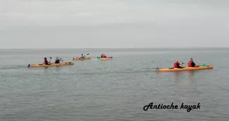 Randonnée en kayak vers l'ile de Ré au coeur du parc Marin  -Antioche Kayak