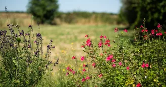 La Jolie Longère Fleurie - Douce France