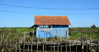 Site ostréicole de la Baudissière