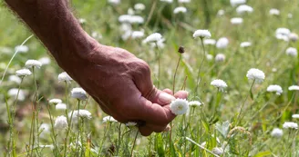 Sortie nature pour les écoles