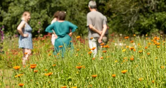 Sortie nature pour les écoles