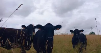 Natu'Ranch - Jeu de piste en immersion au pays des Cow-boys