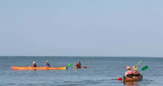 Antioche Kayak : Location de kayak, SUP et balades nautiques