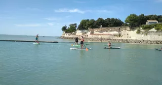 Antioche Kayak : Location de kayak, SUP et balades nautiques