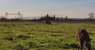 Marais du pont Transbordeur