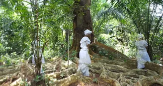 Exposition - Invitation au voyage éphémère - Malanda Loumouamou