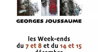 Exposition - Georges Joussaume