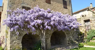 Boucieu-le-Roi :  Village de Caractère