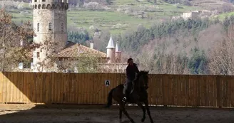 Stage Zen "Découverte du cheval"