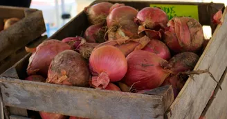 Marché de Satillieu