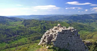 Ruines du château de Rochebloine