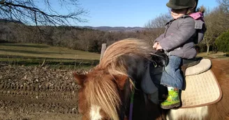 Balade à Poney au centre équestre d'Antoulin