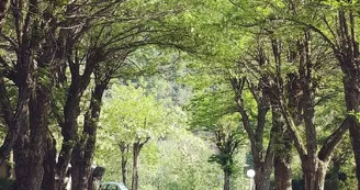 Aire de service/accueil camping-car au camping la Bohème