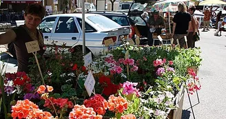 Marché de Saint Félicien