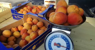 Marché de Saint Donat sur l'Herbasse