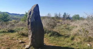 Dolmens et menhirs