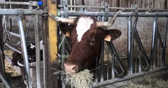 La ferme de l'Amélie