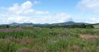 Les sucs volcaniques  : volcans péléens