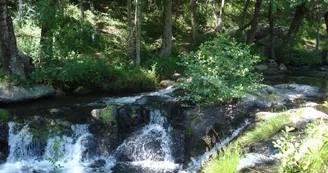 Le Moulin de Charrier