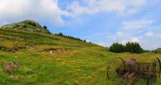 Le Suc de Montivernoux