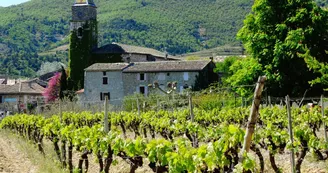 Marché de producteurs locaux